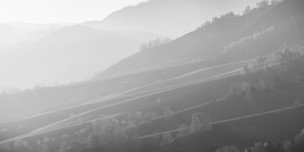 秋景，自然背景，黑白相间图片下载