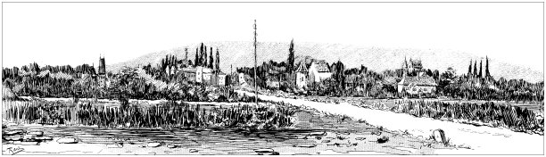 古色古香的景象:在科顿的勃艮第收获葡萄图片下载