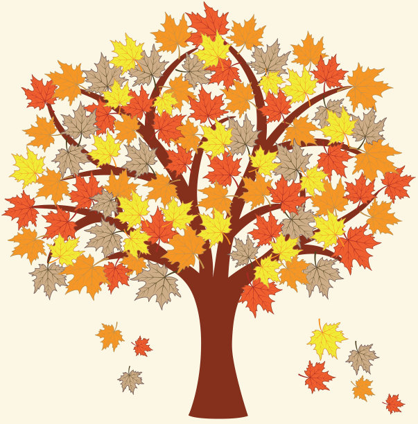 秋天的树。图片下载