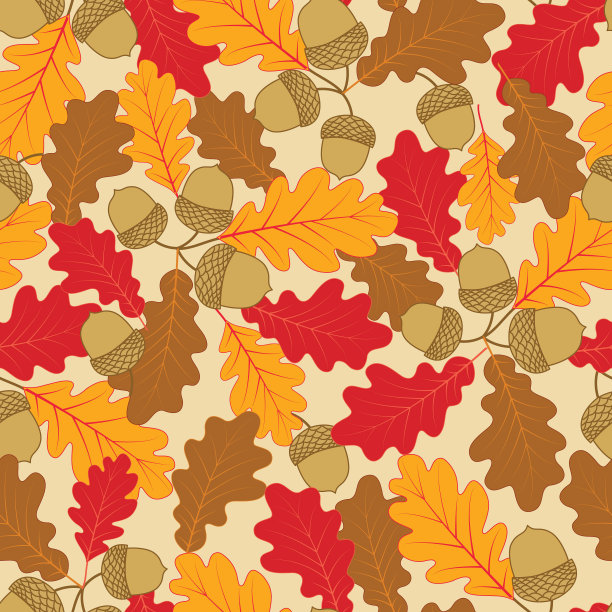山毛榉无缝图案。图片下载