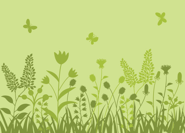 花的背景。图片下载