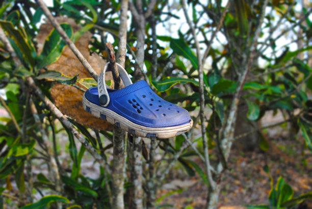 被遗弃的童鞋挂在树枝上。图片下载