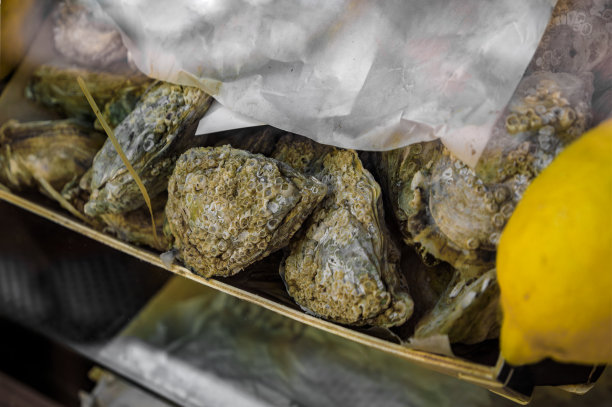在法国里维埃拉尼斯的一家餐馆里，生蚝装在一个盒子里的贝壳里图片下载