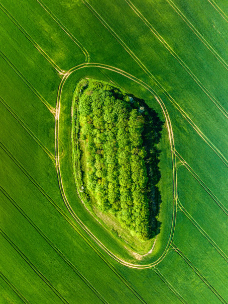 正上方是英格兰田野的景色图片下载