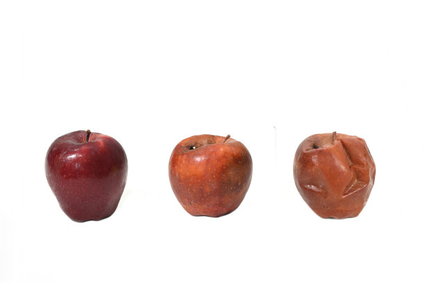 苹果的生命周期。白色背景上的烂苹果和新鲜苹果图片下载