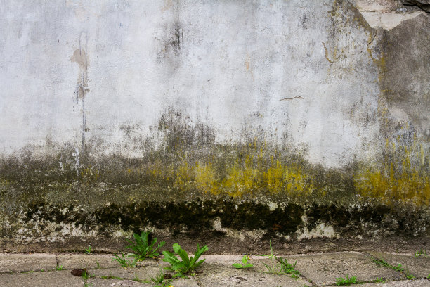 旧的灰泥街墙图片下载