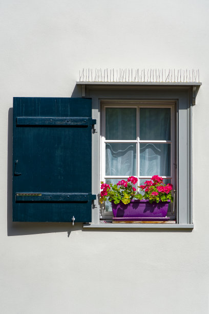 百叶窗和窗台上的红花的窗户特写。图片下载