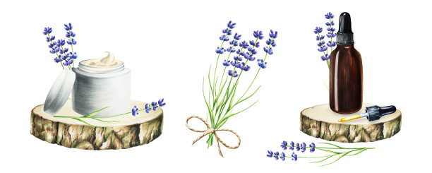 水彩面霜在一个罐子和一瓶血清在木锯切割与薰衣草隔离在白色背景。美容产品及植物元素、美容及医药。适用于设计师、spa装饰、明信片、包装图片下载