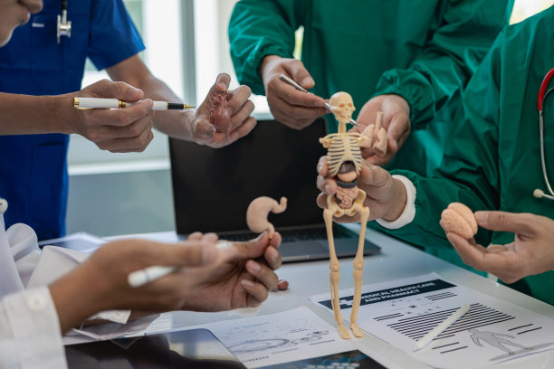 会议，医疗保健和医生在线研究，计划和管理医院时间表。医疗保健团队、专业人员和相互联系的人一起工作。特写照片图片下载