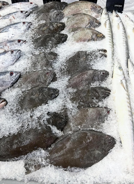 一张桌子上有鱼的照片，人们站在周围，鲟鱼和鱼在覆盖着雪的桌子上。图片下载