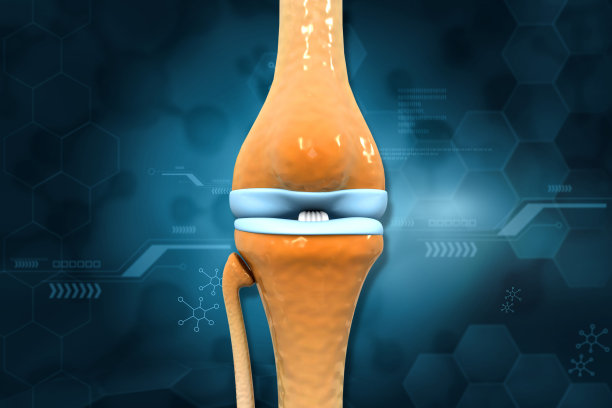 人体肘部解剖图片下载