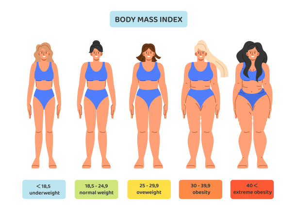 一套身体质量指数概念图片下载