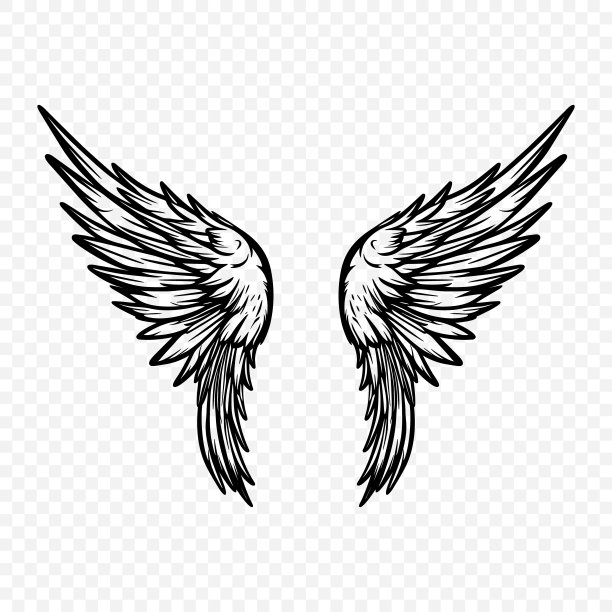 矢量翅膀图标。复古天使翅膀图标，设计模板，剪贴画。丘比特、天使或鸟的翅膀。矢量图图片下载