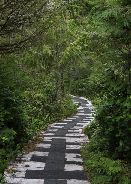 通往不列颠哥伦比亚省海达瓜伊斯基德盖特灵湖的木板路图片下载