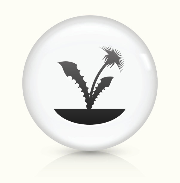 植物图标上的白色圆形矢量按钮图片下载