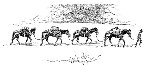 经过一片冰冻的雪原图片下载