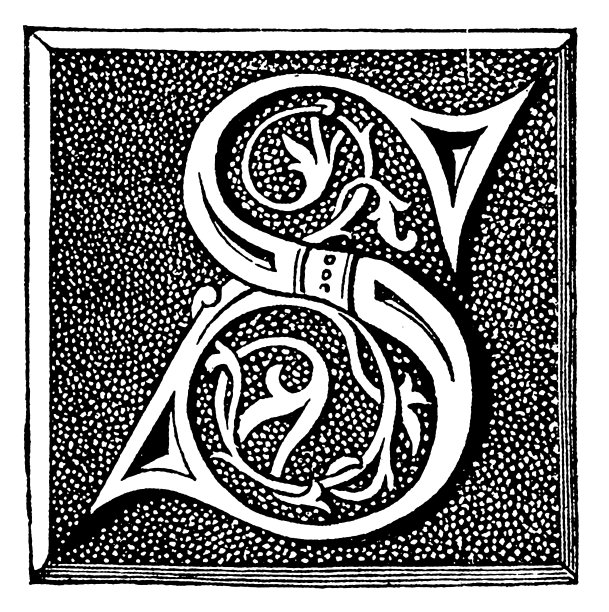 华丽的字母S图片下载