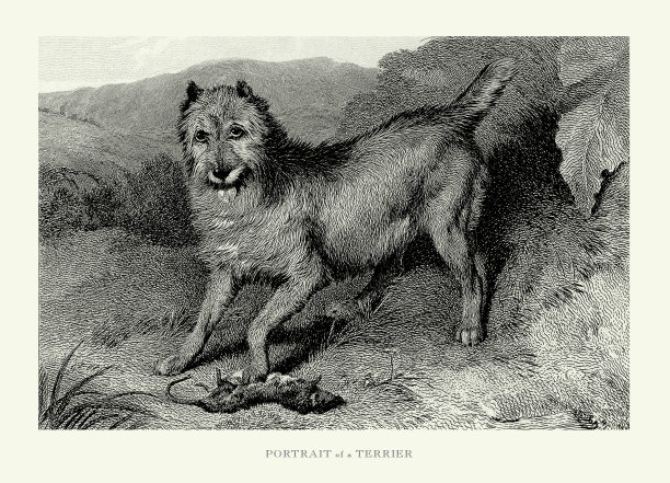 古董雕刻，肖像的梗雕刻插图图片下载