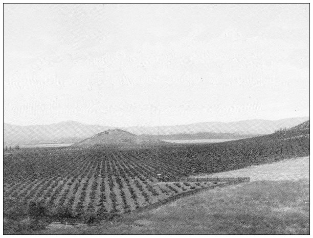 加州古色古香的旅行照片:葡萄干农场图片下载