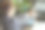 现代商务女性在现代绿色办公室里伸出手图片下载