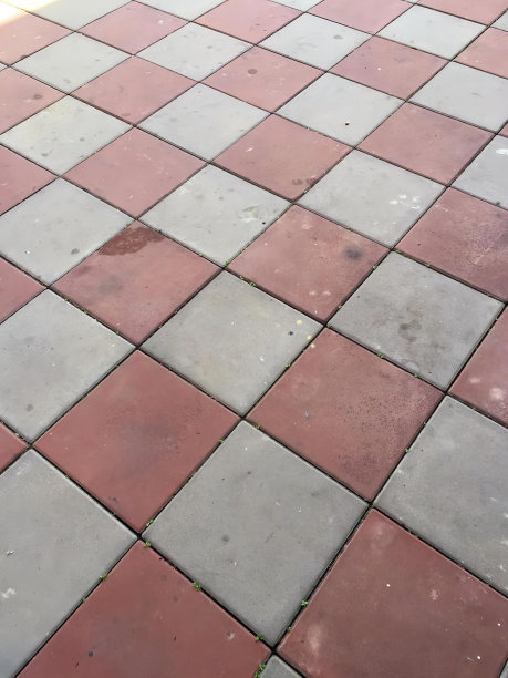 照片上红灰相间的地板上有一只黑白相间的狗，露台瓷砖上有红灰相间的图案。图片下载