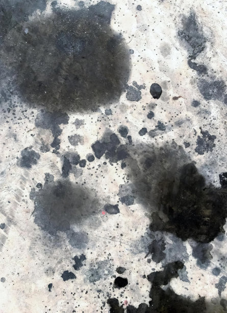 一张黑白摄影照片，肮脏的地板上，培养皿上有黑点，白色表面有黑点。图片下载