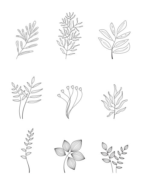 植物墙艺术抽象向量设置;美术风格。波西米亚分支向量在线条艺术风格图片下载