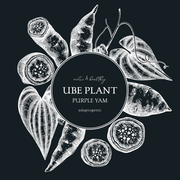 Ube设计模板图片下载