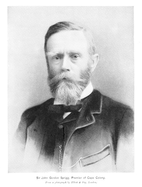 约翰·戈登·斯普里格爵士肖像，开普殖民地首相，南非，19世纪世界史图片下载