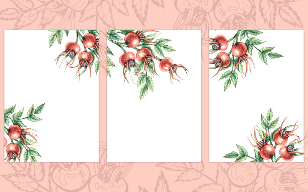 水彩野玫瑰明信片模板图片下载