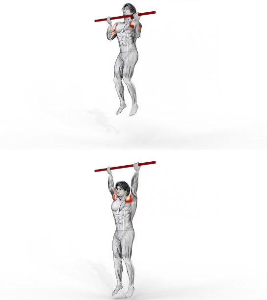 一个肌肉发达的男人在白色背景上用金属杆做引体向上的3D渲染图图片下载