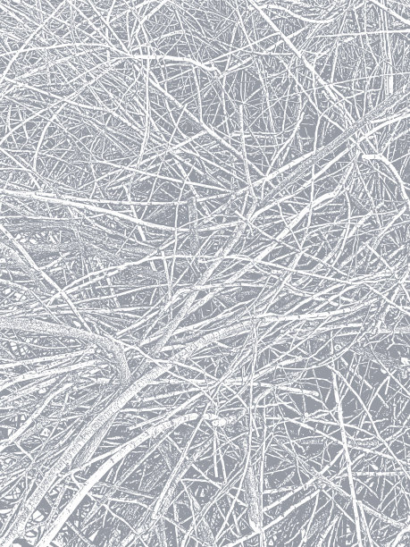 一堆砍下来的树枝和小枝图片下载