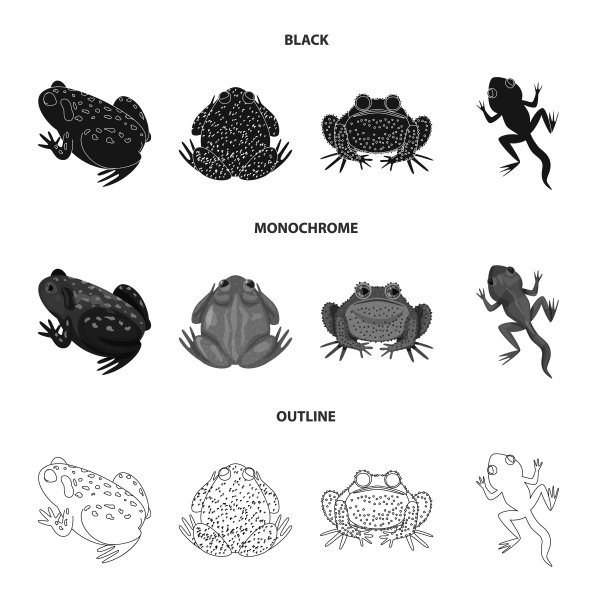 孤立物野生动物和沼泽符号集图片下载