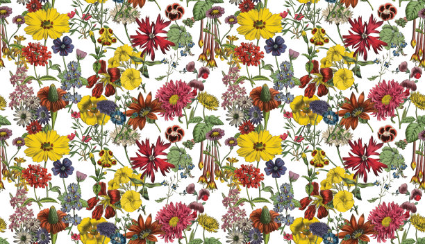 维多利亚植物，手工着色，无缝重复图案。现实的盛开孤立的花复古织物背景。美丽的村舍花园和野花。壁纸巴洛克风格。绘画雕刻。维多利亚时代的插图。图片下载