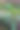 现代家庭花园构图的股票照片充满了许多美丽的植物。时尚的植物内饰。家庭园艺概念。图片下载
