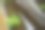 现代家庭花园构图的股票照片充满了许多美丽的植物。时尚的植物内饰。家庭园艺概念。图片下载