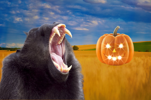 图林根州的夏天正在慢慢结束图片下载