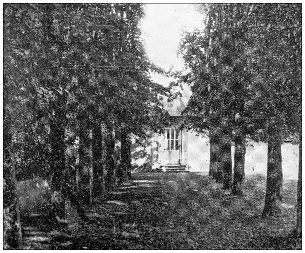 巴黎和法国的古董旅行照片:拿破仑的书房和散步单人纸牌游戏图片下载