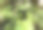 一张特写照片，上面是一碗沙拉，里面有生菜、白菜头和绿、红叶。图片下载