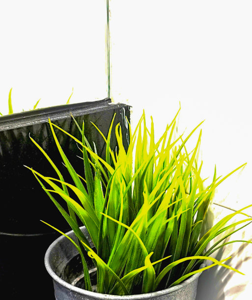 在镜子前装饰浴室的一角图片下载