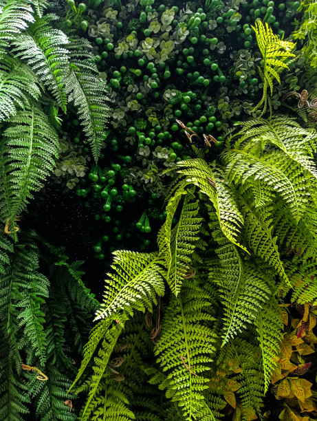 园林植物图片图片下载