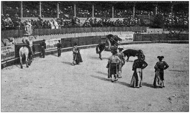 古董照片:斗牛图片下载