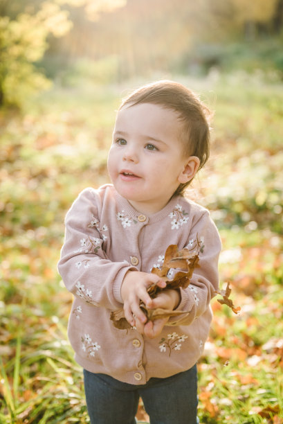 小女孩把秋天的黄叶扔了起来。女儿在森林里散步。孩子在公园里玩树叶。一家人带着孩子一起在日落时分度假。秋天的假期在大自然。特写照片图片下载