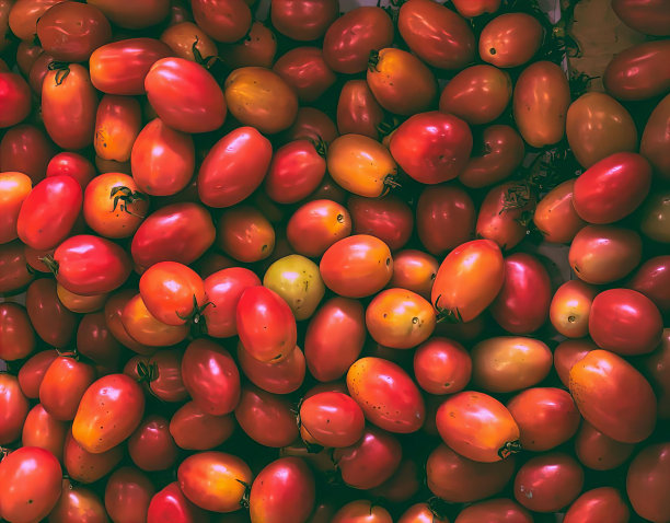 一张照片上有一堆西红柿，其中有很多，玫瑰果西红柿被堆在桌子上。图片下载
