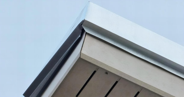 一只鸟坐在屋顶上的照片，太阳能收集器安装在屋顶上，背景是天空。图片下载