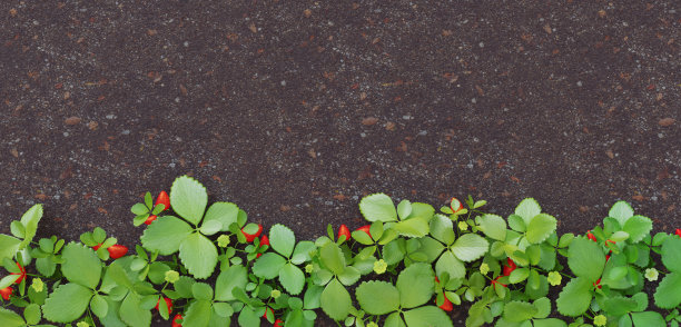 自由背景地面叶框架复古风格铺上绿叶地面与新鲜的树枝叶边界3D插图草莓树图片下载