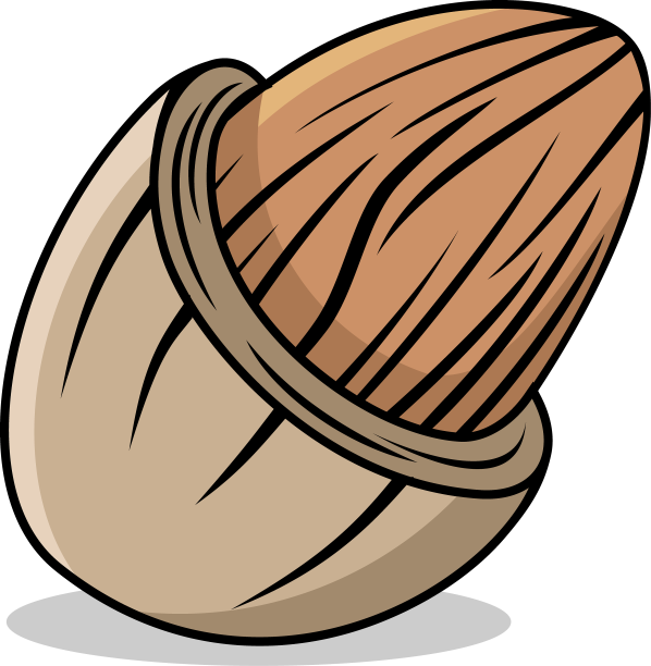 杏仁设计图片下载