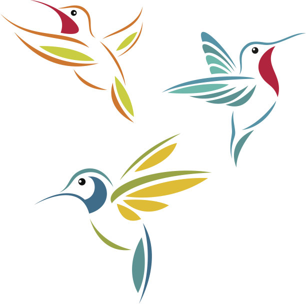 一张三只蜂鸟飞翔的照片图片下载