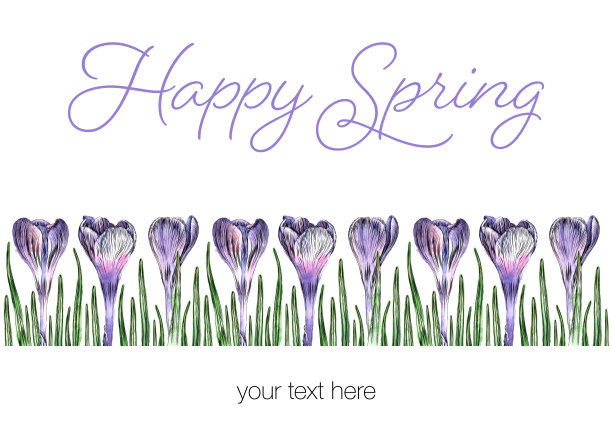 春天的边界番红花水彩和墨水矢量插图图片下载