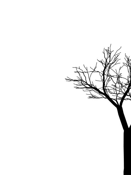 黑色和白色的树的剪影图片下载
